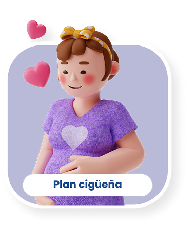 Plan cigüeña