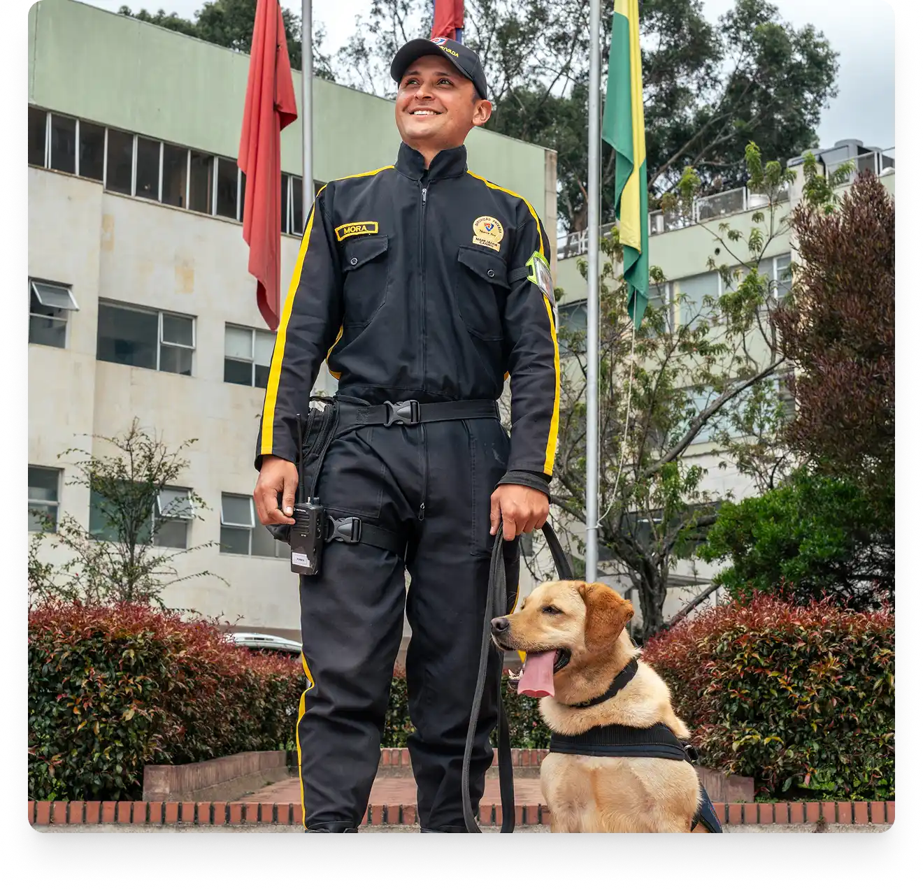 Seguridad para el sector defensa