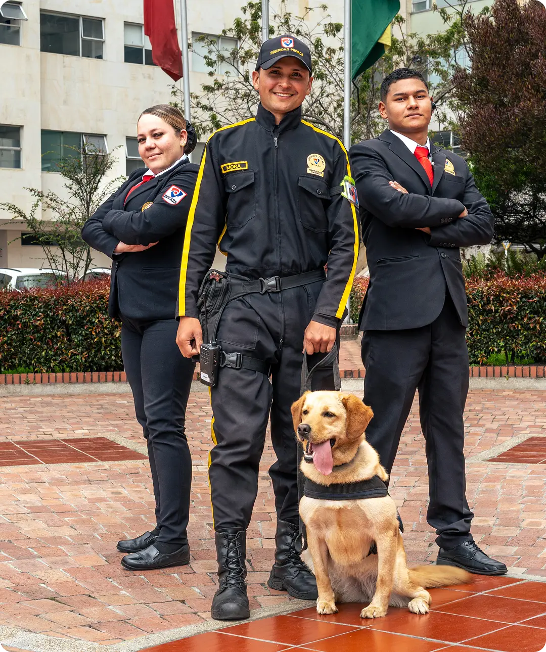 Seguridad para el sector defensa